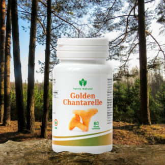 Golden Chanterelle (60 Capsules)